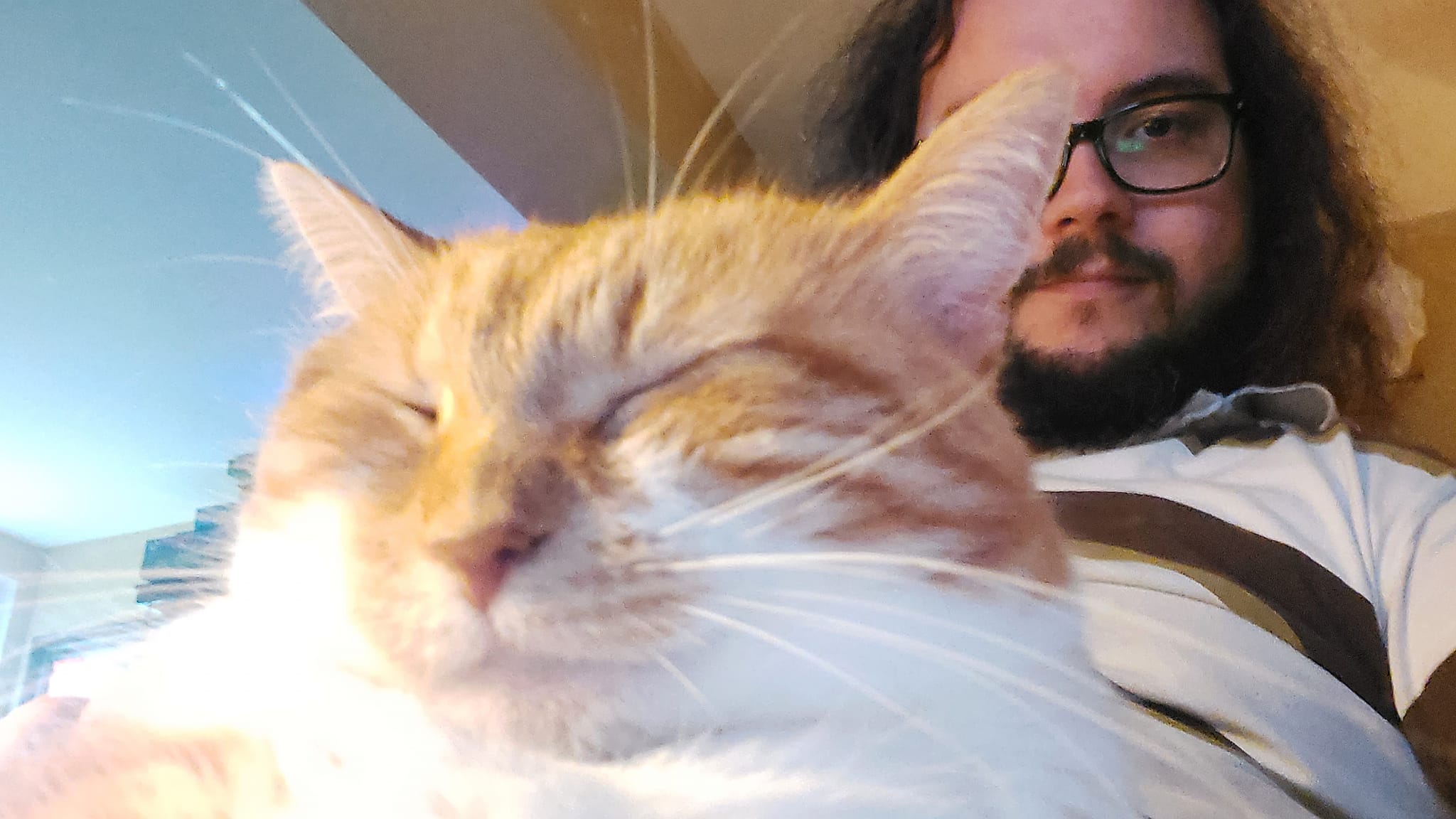 An orange cat is with a man with long dark hair